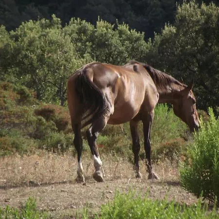 Casa Vacanze Sa Rocchitta Σπίτι διακοπών *