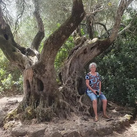 Prázdninový dům Sa Rocchitta Querce (Lucca)